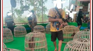 Diduga Dapat Perlindungan Oknum, Arena Judi di Manduro Menantang Negara
